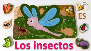 Los insectos para niños de preescolar. Juguetes para bebé: rompecabezas. Dibujo animado en español