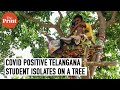 Nowhere to isolate during Covid, this 18-year-old in Telangana spent 11 days on a tree