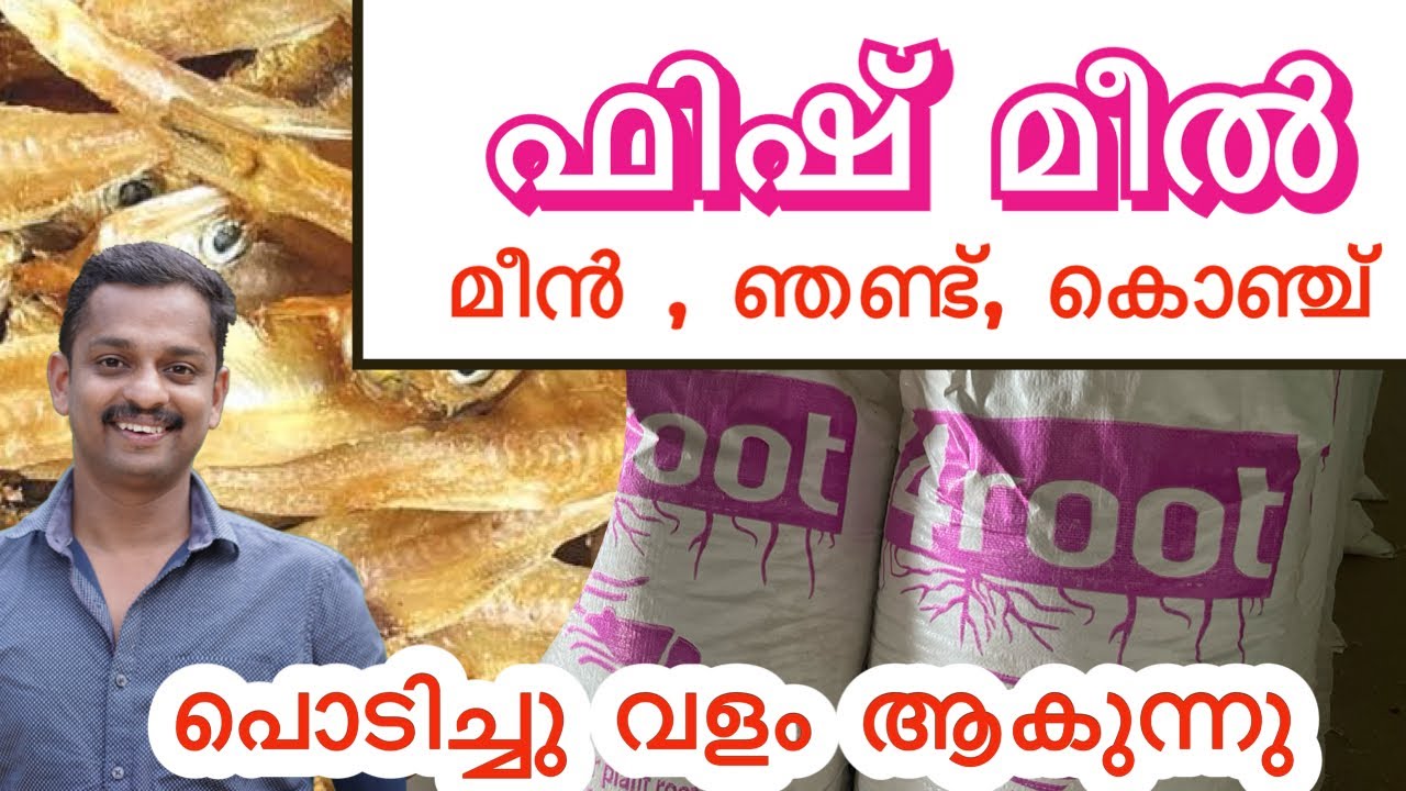 മീൻ വളം