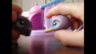 My Dad is a Girl LPS