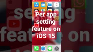 Per app settings feature on iOS 15