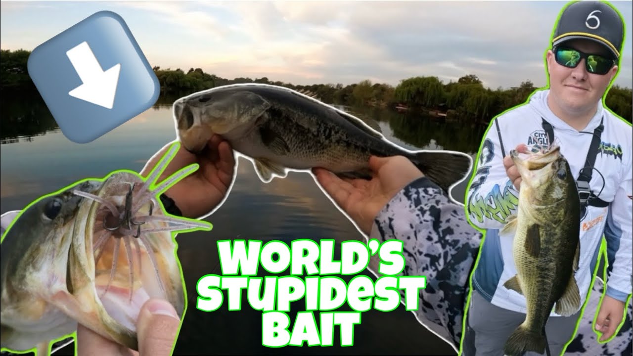 How To Catch Giant Fish On The Coike | Johannesburg Bass Fishing