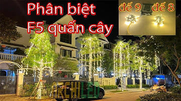 Led đúc F5 quấn cây đế 8 và đế 9 khác nhau như thế nào | Thi công trang trí quấn cây tại Hà Nội