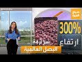 صباح العربية وصل سعره في لبنان إلى 70 ألف ليرة سر أزمة البصل العالمية صباح العربية وصل سعره في لبنان إلى 70 ألف ليرة سر أزمة البصل العالمية