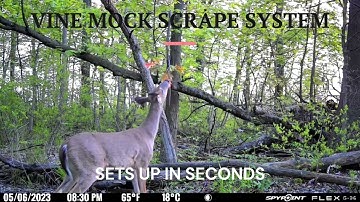 Vine Mock Scrape System