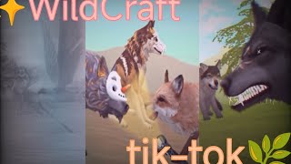 WildCraft подборка Тик-ток|Wildcraft compilation Tik-tok