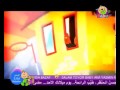 Toyor Al Janah Toyor Baby Diki طيور الجنة بيبي ديكي 2 Toyor Al Janah Toyor Baby Diki طيور الجنة بيبي ديكي 2