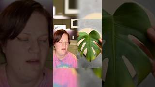 Replying to @bymysignname New info from the submitter! It wil #pov #story #teacher #mamaowl #part2