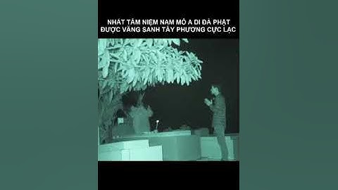 VÃNG SANH TÂY PHƯƠNG CỰC LẠC KHI NHẤT NIỆM NAM MÔ A DI ĐÀ PHẬT #ghost #tâyphươngcựclạc #shorts