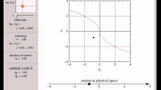 Celebrity Two-Dimensional Optimal Control Problem Profile