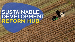 Sustainable Development Reform Hub | Scientia Program