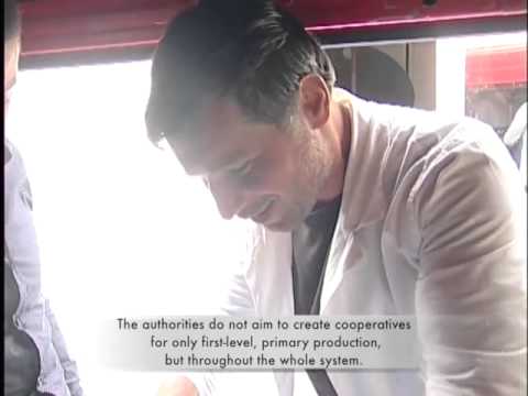 კოოპერატივების სიკეთე. ინტერვიუ გიორგი მიშელაძესთან