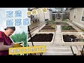 后院又变样了 改造菜床 加步道更和谐  阿婆笑侃像中央广场【Garden Time 田园生活分享】2023 3