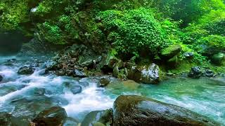 ASMR Relaxing River Sounds 🌿ASMR White Noise for Deep Sleep