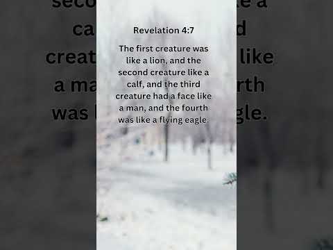 Journey of faith