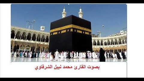تلاوة رائعة للقارئ محمد نبيل الشرقاوي - سورة الفجر