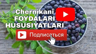 Chernikani  FOYDALARI