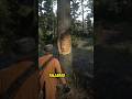Los extraños rostros tallados en RDR2 #arthurmorgan #rdr2 #eastereggs #reddeadredemption2 #trucos