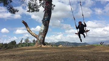 An Introvert’s Paradise - aka why I have no friends