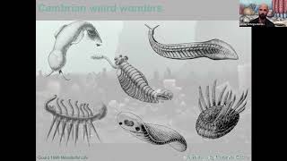 Wonderful Cambrian Beasts