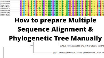 How the Multiple Sequence Analysis and Phylogenetic Trees can be constructed manually