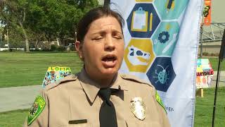 Exploration and achievement at summer camp