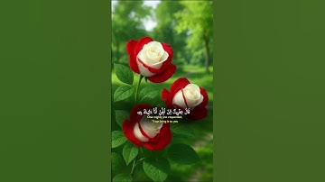 ارجع اليهم الدوسرى🌹🌺✨☝️|سورة_النم#ياسر الدوسري#ياسر_الدوسري#تلاوات#قرآن