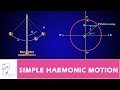 Exploring Simple Harmonic Motion Through Real-World Examples