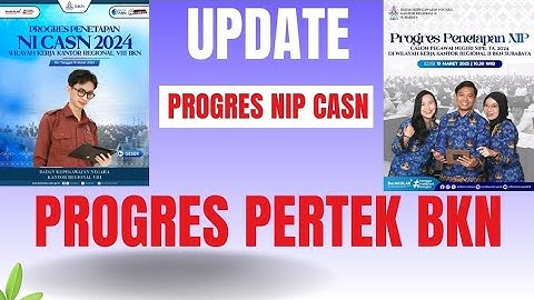 Update Progres penetapan NIP cpns dan pppk