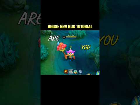✅ Diggie New