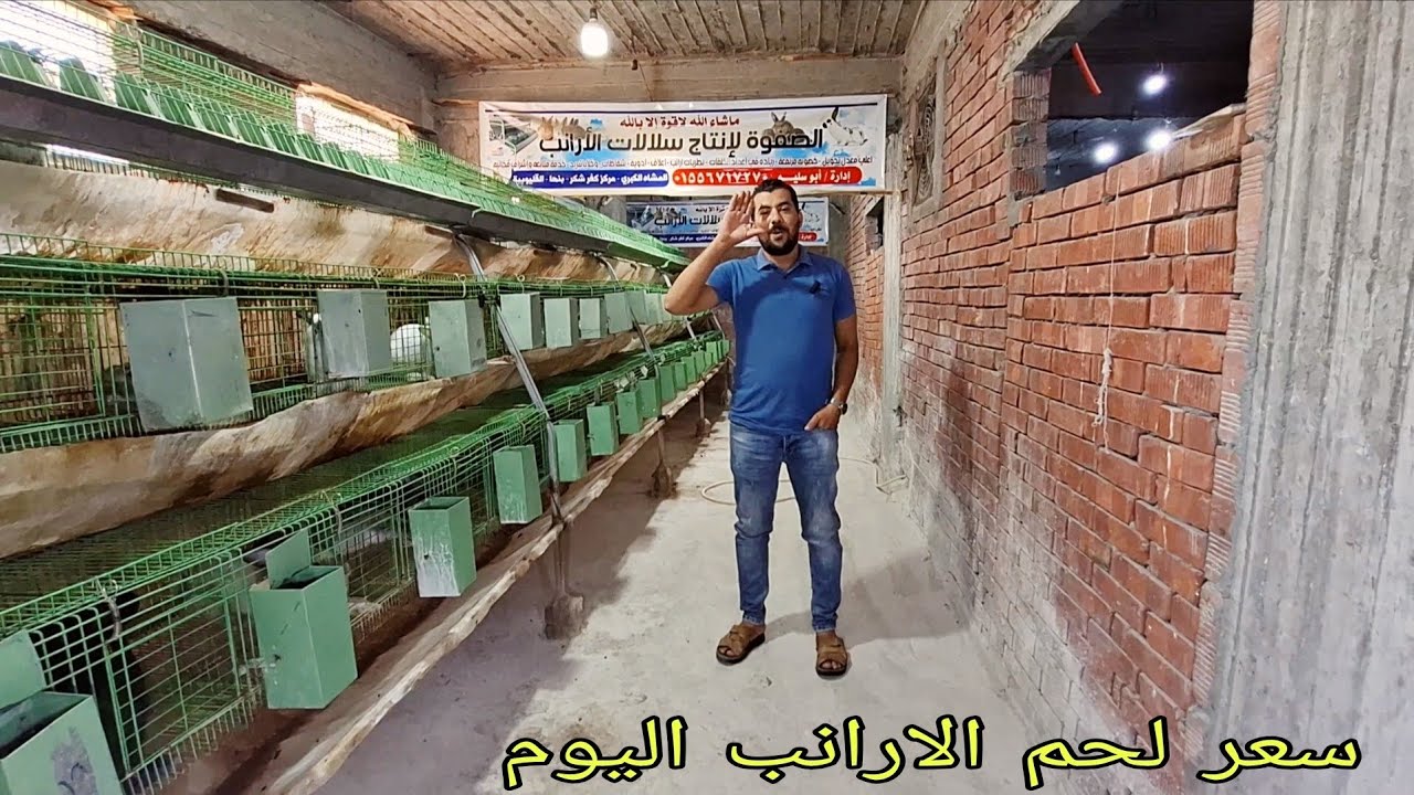 ابدا بكام ام ارنبه عشان اخد هامش ربح ٢٠٠٠٠٠ جنيه في الشهر 