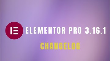 Elementor Pro 3.16.1 CHANGELOG Wordpress Website Builder