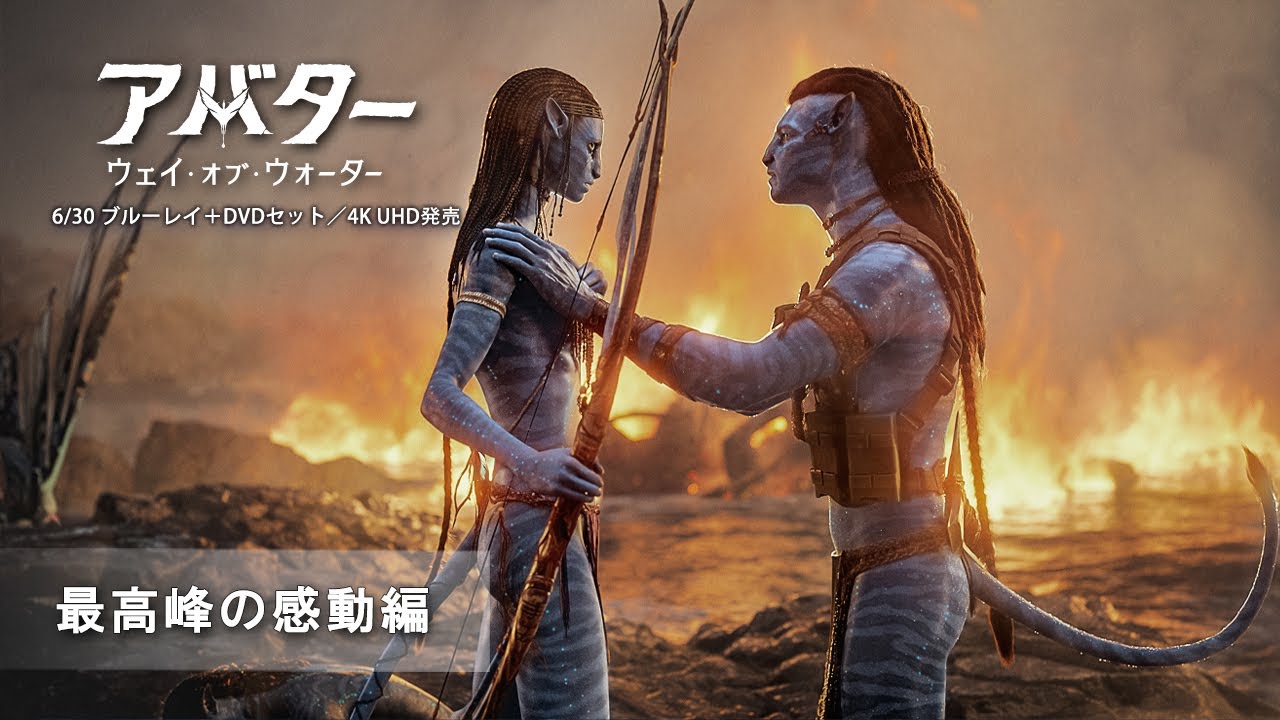 アバター：ウェイ・オブ・ウォーター』最高峰の感動編 6/30 ブルーレイ