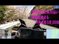 西伊豆町仁科川上り - 桜開花情報 他 - Petit Touring Blue Core XMAX - 令和六年 弥生 晦日