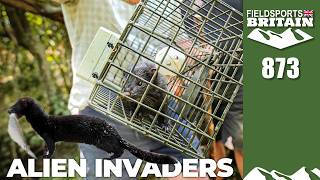 Fieldsports Britain – Natural born killers