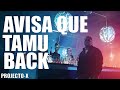 PROJECTO-X "Avisa que tamu Back" (Video Oficial)