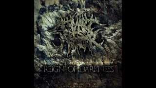 Best Metalcore/Hardcore Breakdowns of 2012 Pt. 1