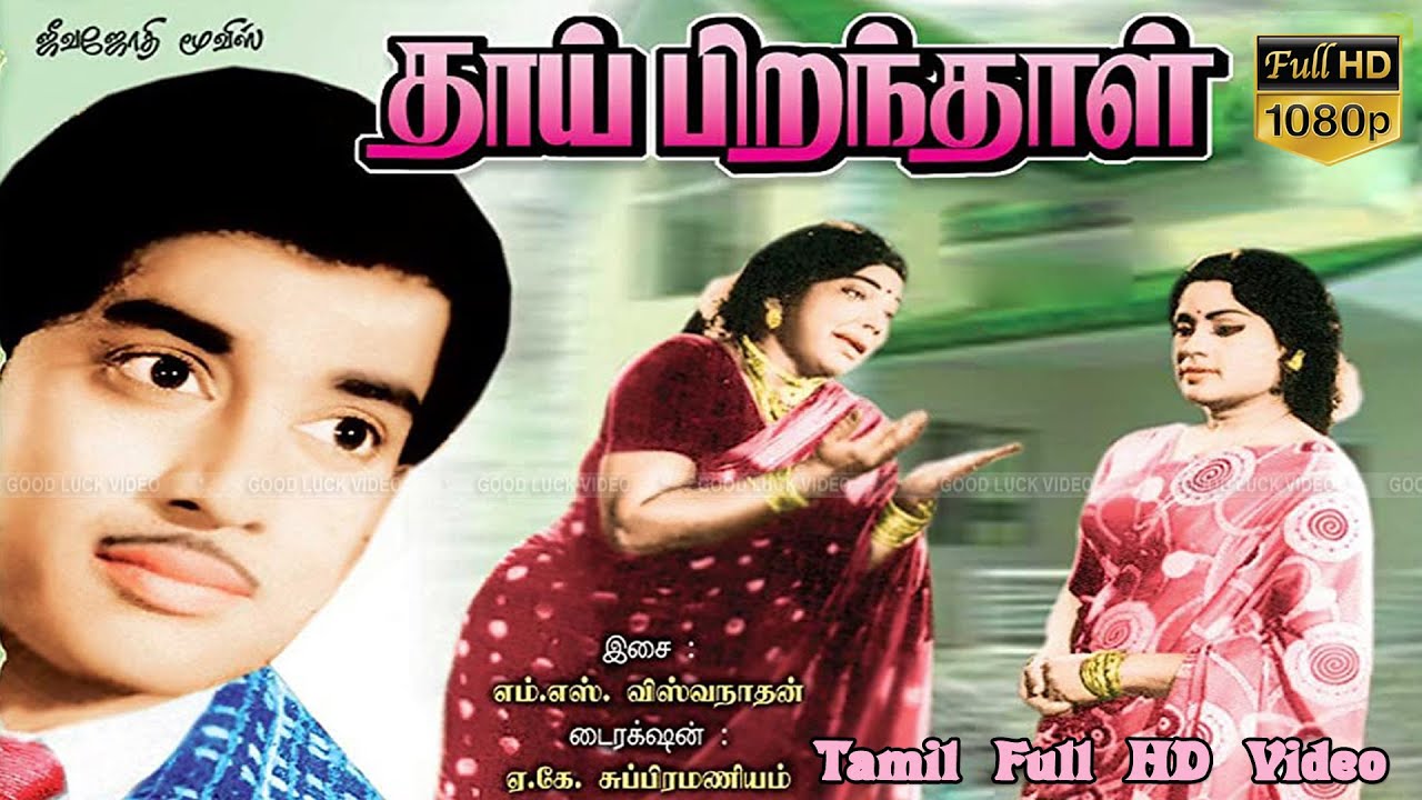 Download Bhanumathi In Tamil Movie Mp4 Mp3 3gp Naijagreenmovies Fzmovies Netnaija