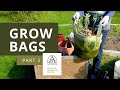 Using your grow bag  part 2