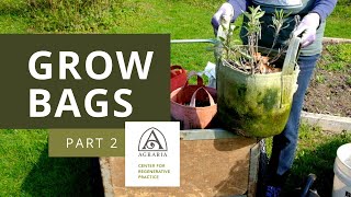 Using Your Grow Bag - Part 2