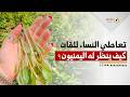 ميكرفون بران | تعاطي النساء في اليمن للقات