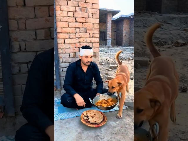 A sent help for Allah to save him #ytshorts #usa #trendingshorts #india