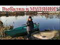 Рыбалка в Мулянке | Большая рыба Толстолобик | Платный водоем в Екатеринбурге | спининг TEAM DUBNA