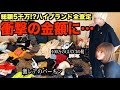 ヒカルが鑑定士を連れて家に来た