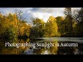 Photographing Sunlight in Autumn - Amazing colours, perfect light and beer.