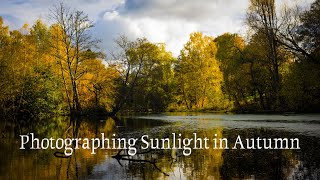 Photographing Sunlight in Autumn - Amazing colours, perfect light and beer.