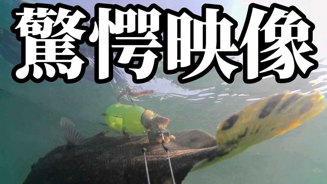 Hokkaido] [Fishing] Finally, we succeeded in capturing underwater