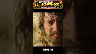 #jaidmeel #malayalam The Boy And The Mysterious Tree A Remarkable Fantasy Story
