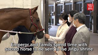 Emperor And Family Spend Time With Sacred Horse To Be Sent To Ise Jingu Shrine