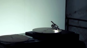 Tree Rings on a Record Player! This is What Happens!!!